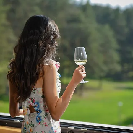Hotel Masa Zlatibor